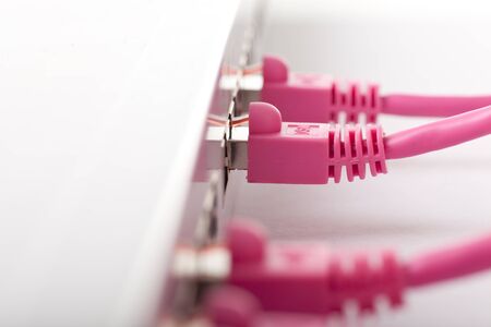 Ethernet caples connected, concept of networkingの写真素材