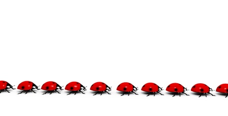 Ladybugs walk in a rowの写真素材