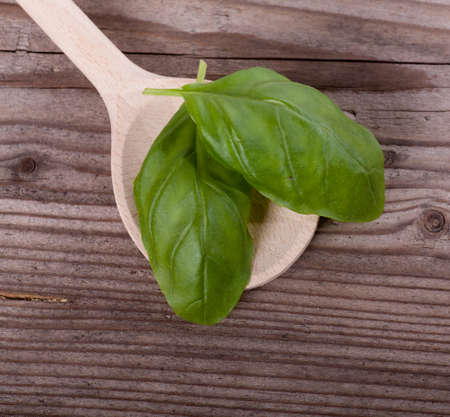 Basil on spoon on wooden boardの写真素材
