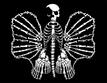 bone butterflyのイラスト素材