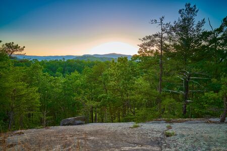 Exposed rock face with pine trees at sunset.