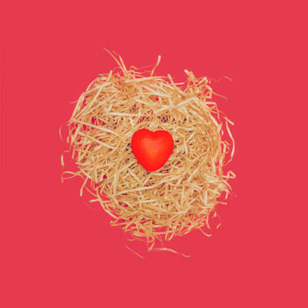 Creative flat lay concept. The love nest made of beige hay and one red heart is a symbol of love and the growth of love. Paradise pink background. Focus in the middle. Valentines or Easter idea.の写真素材