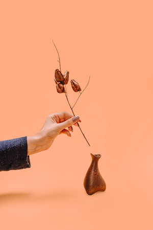 A woman's hand holds a sprig of dry flowers of an unusual shape. Unusual chocolate brown shapes on a Autumn blonde background. Simple modern nature background. Minimal beautiful floral autumn concept.の写真素材