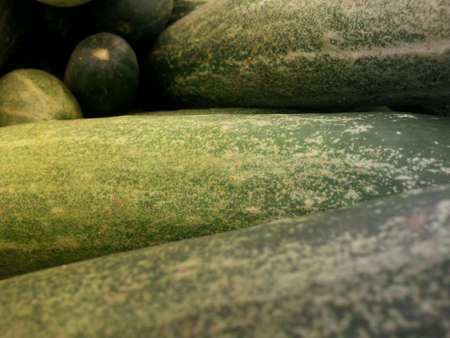 Close up of cucumbers