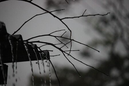 Ranting saat hujanの写真素材