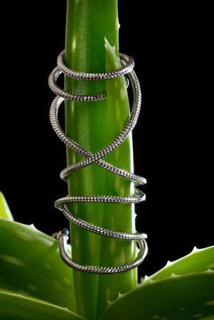 Plant tied by the man-made chain as a symbol of environmental protectionの写真素材