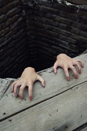 Hands with good manicure of the woman in the deep rural reservoirの写真素材