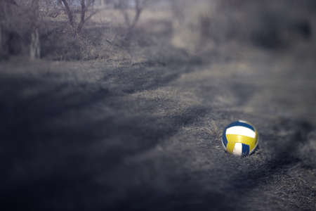 Volleyball ball outdoors. Shallow depth of field added by the tilt/shift lens for artistic view. Natural light and colorsの写真素材