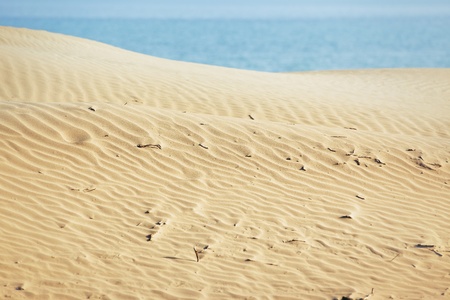 View on the rippled sand dunes and blue sea. Natural light and colorsの写真素材
