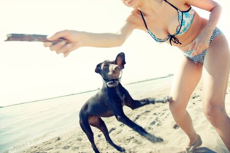 Happy woman in vacation playing with her dog at the summer beach. Artistic colors addedの写真素材