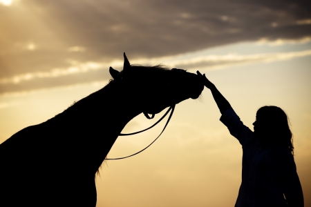 Silhouette of the woman and horse training during sunsetの写真素材