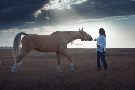 Woman training horse in the steppe during sunsetの写真素材