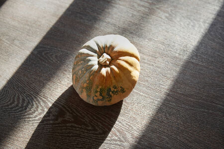 Pumpkin for Halloween in the dark room. Vertical photo
