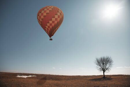 Air balloon flying over the steppe with single treeの写真素材