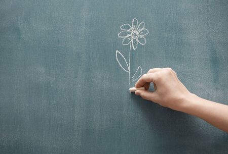 Human hand holding single flower drawn on a blackboardの写真素材