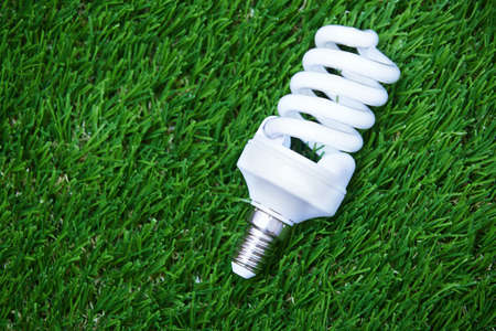 Energy saving bulb in the grass. Horizontal photo