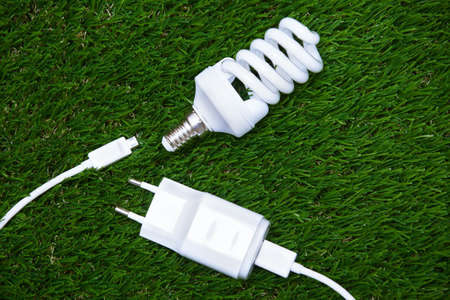 Energy saving bulb and electric plug in the grassの写真素材