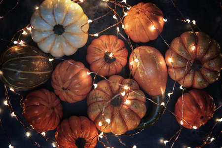 Halloween pumpkins with electric illuminationの写真素材
