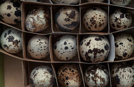 Carton box with quail eggsの写真素材