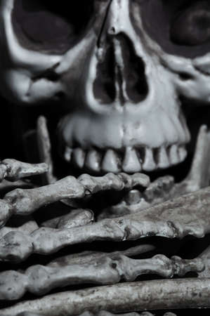 Close-up horizontal photo of the human skullの写真素材