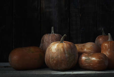 Stack of pumpkins after harvesting in rural placeの写真素材