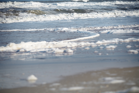 Beach at the Pacific Oceanの写真素材