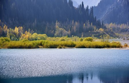 Mountain Lake with plants and trees in USA. Californiaの写真素材