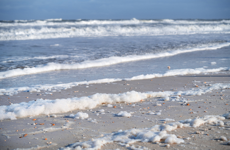 Coast of the Pacific Ocean with rare seashells and sea foamの写真素材