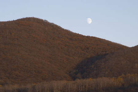 21.10.2005,  Partizansk. R.Fの写真素材