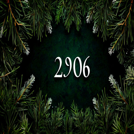 Happy New Year 2016. Christmas tree branches on dark green background.の写真素材