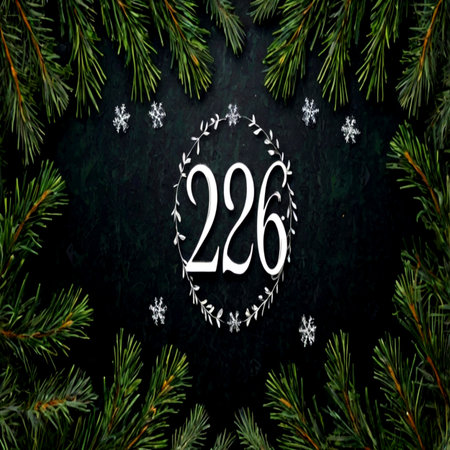 New Year 2016. Christmas background with fir branches and snowflakesの写真素材