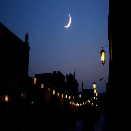 Moonlight over the streets of the old city of Essaouira, Moroccoの写真素材