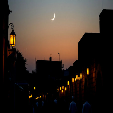 Silhouettes of people walking in the street at sunset.の写真素材