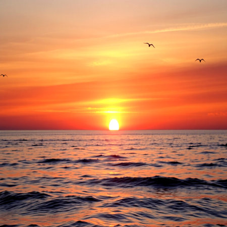 Sunset over the sea with seagulls on the horizonの写真素材
