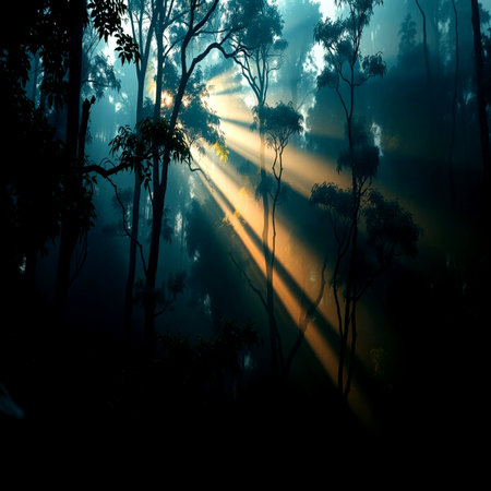 Mystical foggy forest with rays of light in the morning