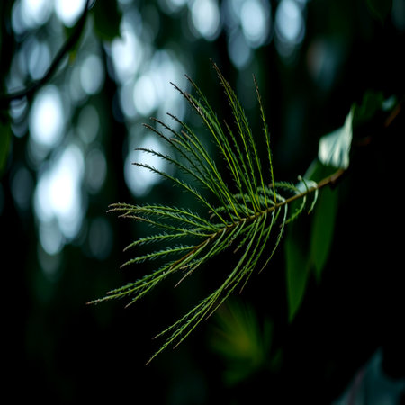 Close up of green leaves on blurred nature background. Shallow depth of field.