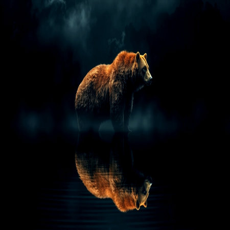 3D rendering of a brown bear isolated on black background with reflectionの写真素材