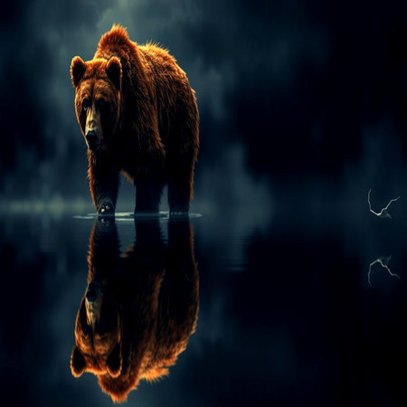 Big brown bear on dark background with reflection in water. Wildlife sceneの写真素材