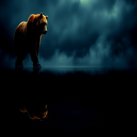 Grizzly bear on dark background with reflection in water.の写真素材