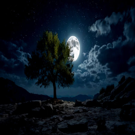 Night landscape with lonely tree and full moon.の写真素材