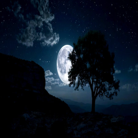 Silhouette of a tree in the mountains at night with full moon