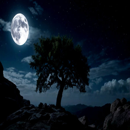 Silhouette of tree and full moon on night sky background.の写真素材