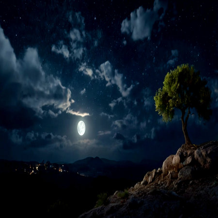 Night sky with stars and full moon. Silhouette of a tree against the background of the mountains.の写真素材