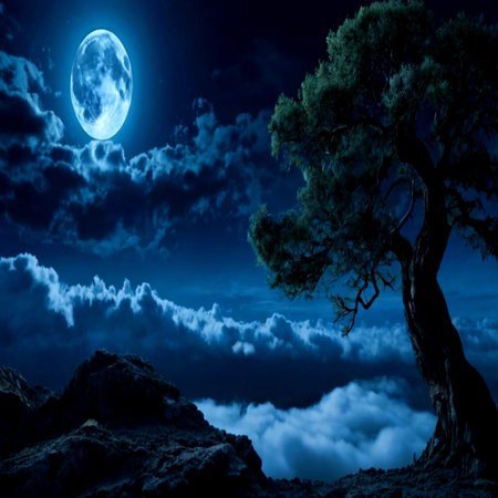 Pine tree on the edge of a cliff in the moonlightの写真素材