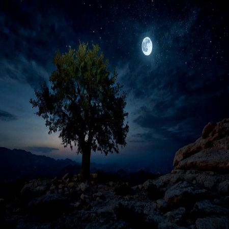 Night landscape with a tree and full moon in the night sky.の写真素材
