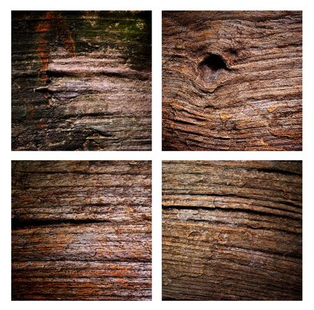 collection of wood texture backgroundsの写真素材