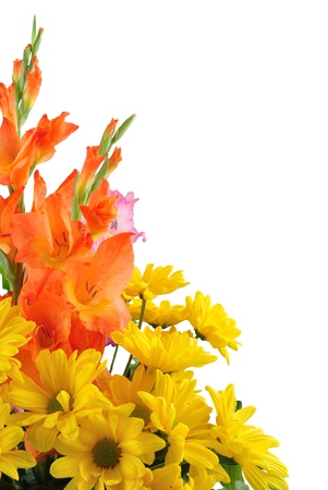 beautiful flower design. With copy space and isolated on white backgroundの写真素材