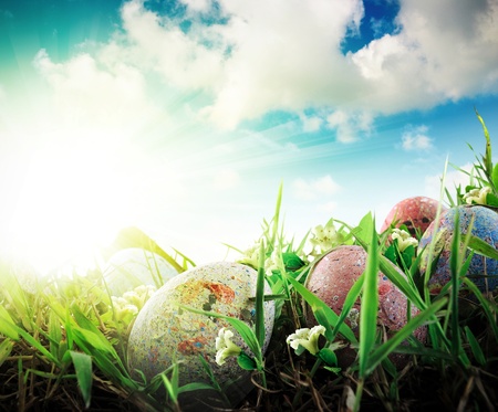 Colorful Easter eggs decorated with flowers in the grass on blue sky background in water reflectionの写真素材
