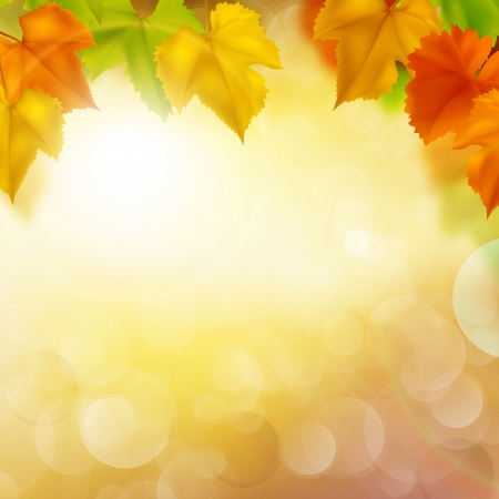 Autumn backgroundのイラスト素材