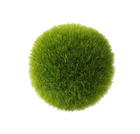 green grass ballの写真素材